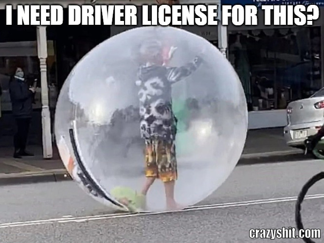 driver license