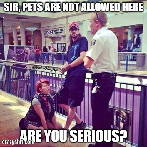 pets are not allowed