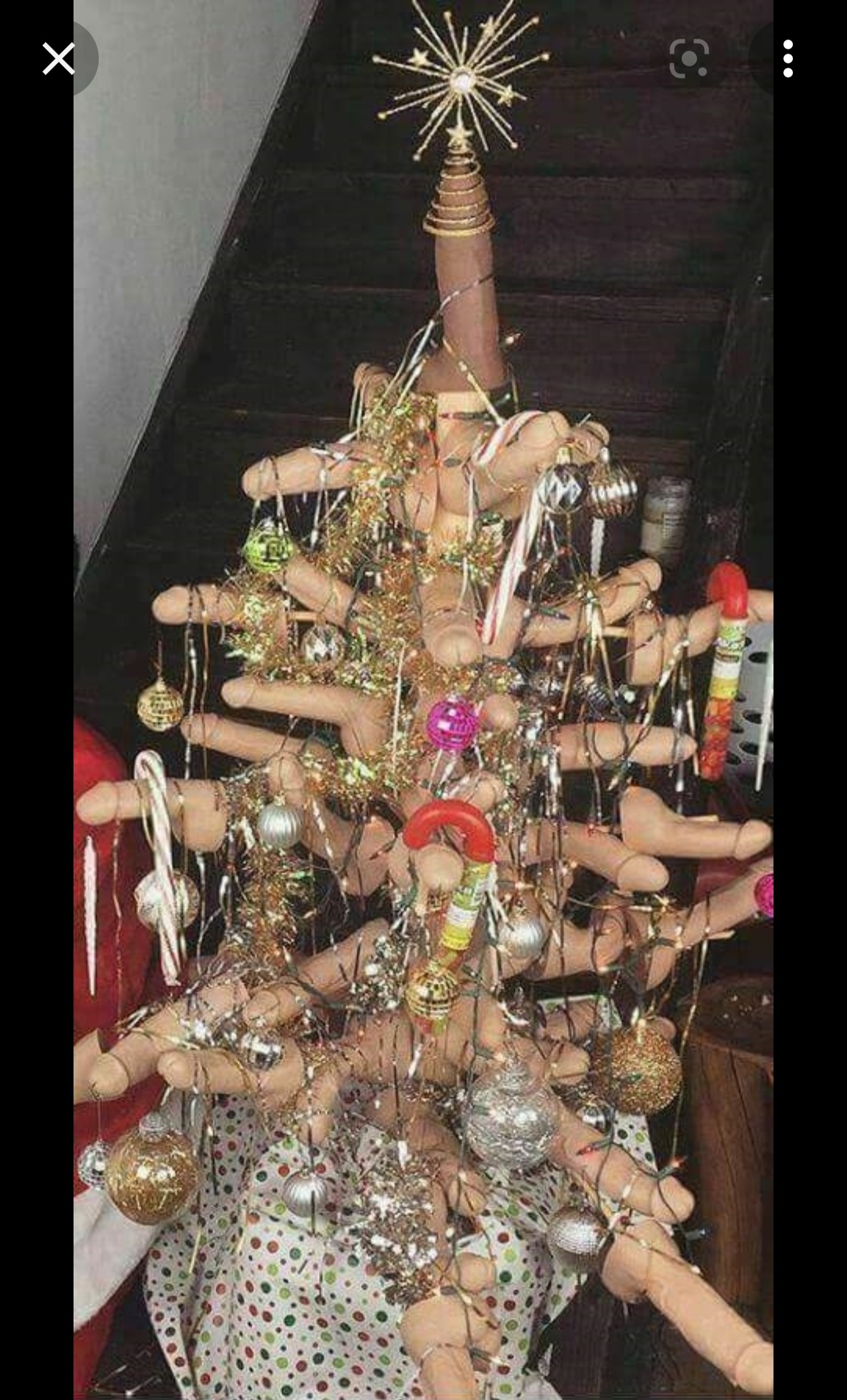 Pete Buttigiegs holiday tree.