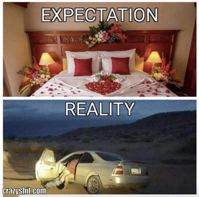 hotel vs car