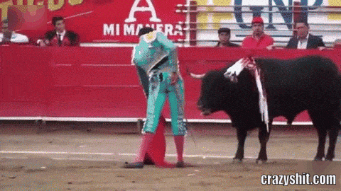 bullfight went really wrong