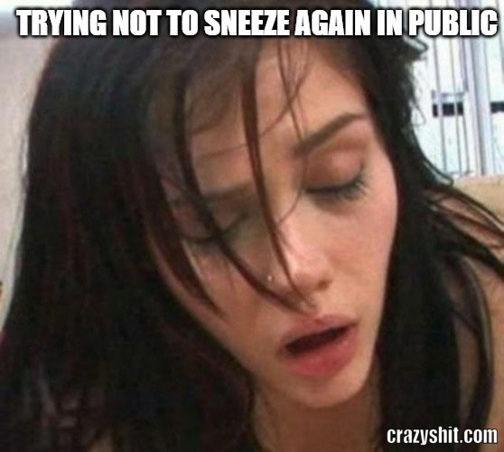 dont sneeze in public