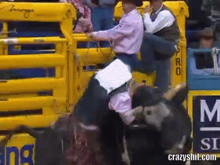 bull's revenge