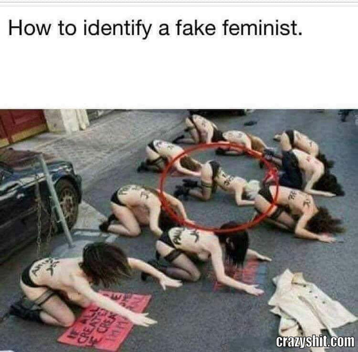 Porn Feminist Meme - CrazyShit.com | feminist memes - Crazy Shit
