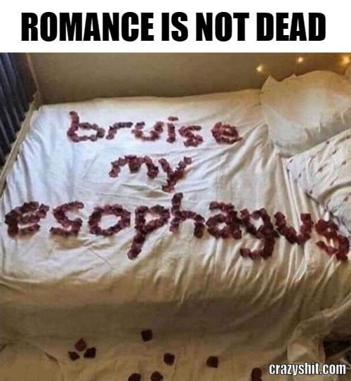 romance is not dead