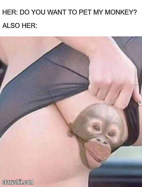 please pet my monkey