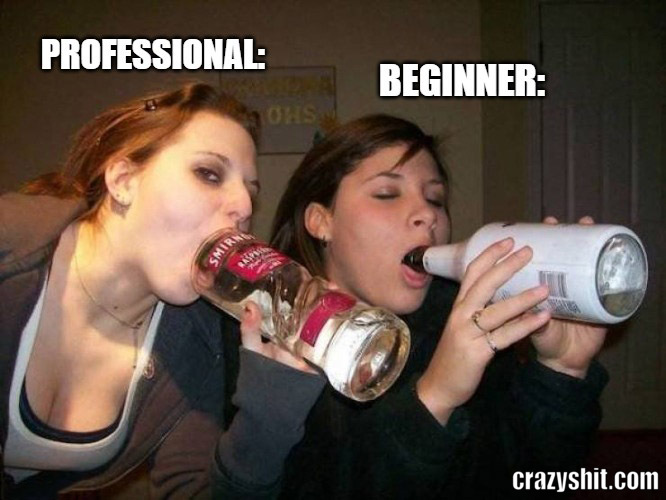 professional vs beginner