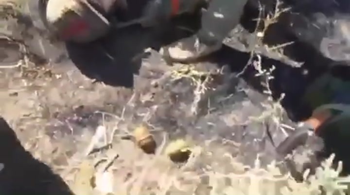CrazyShit.com | Russian soldiers after ambush in Ukraine - Crazy Shit 