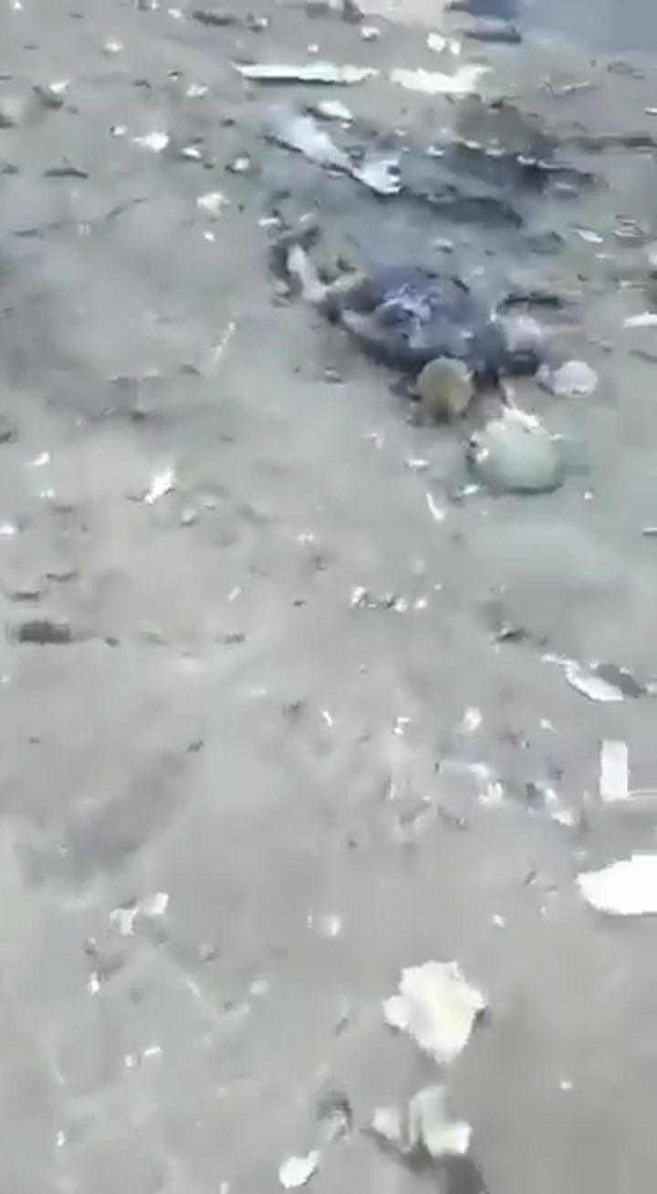 CrazyShit.com | More war gore