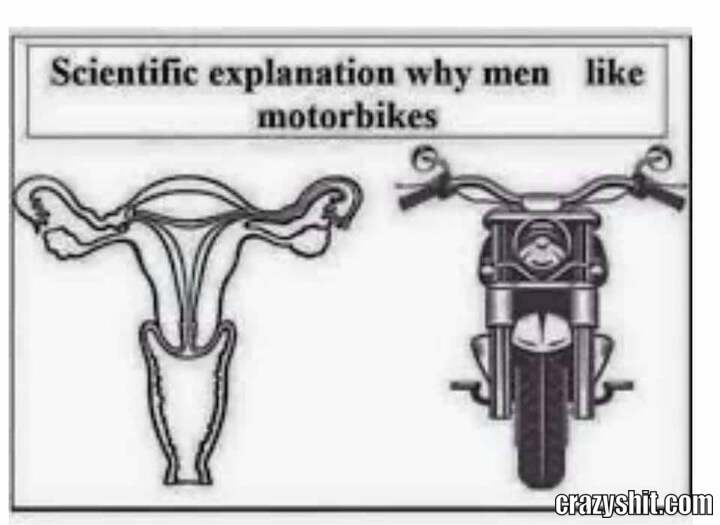 vagina vs motorcycle