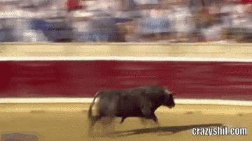 bull incoming