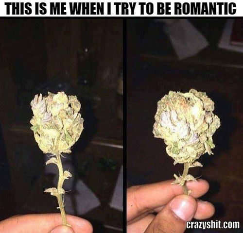 trying to be romantic