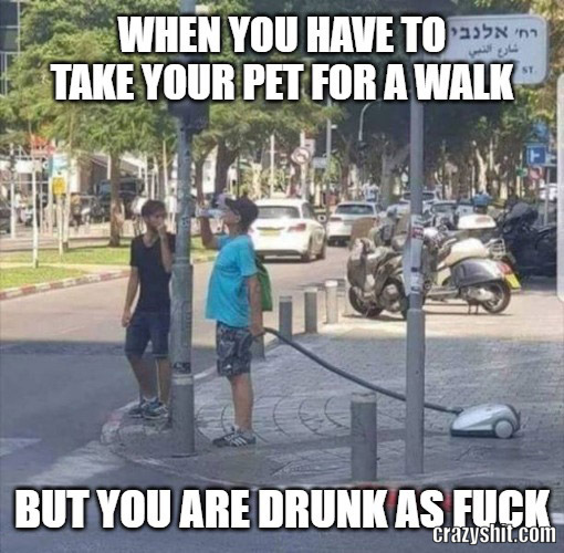 pet walk