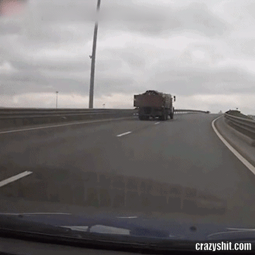 stupid driver