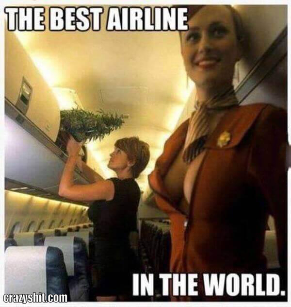best airline ever