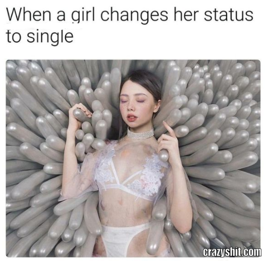 single status