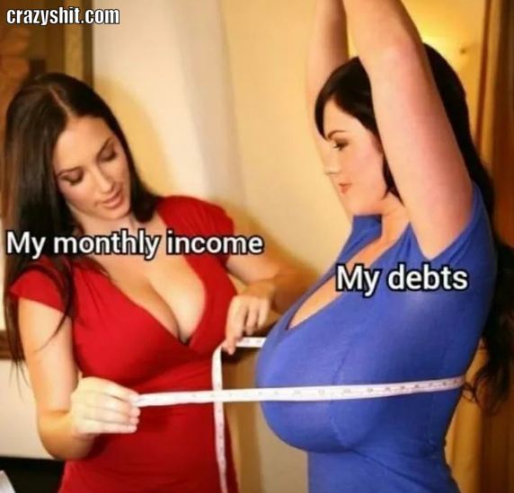 income vs debts