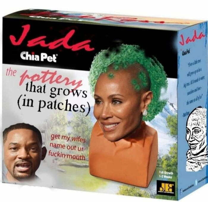 Chia Pet