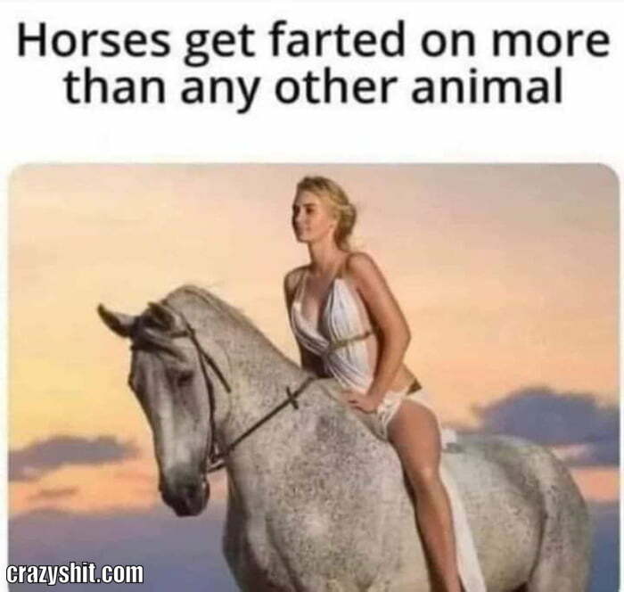 poor horses