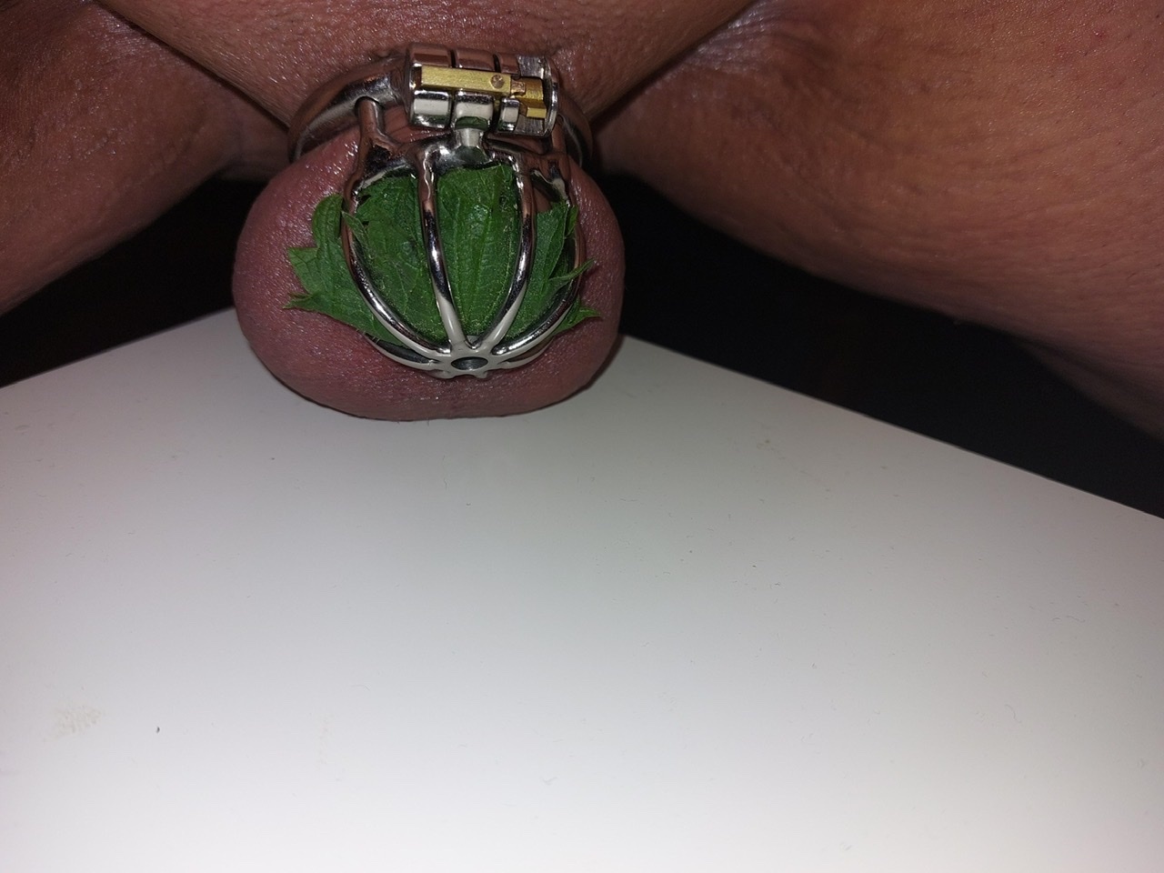 Nettleed…..