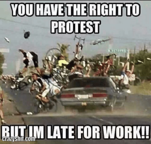 you have the right to protest