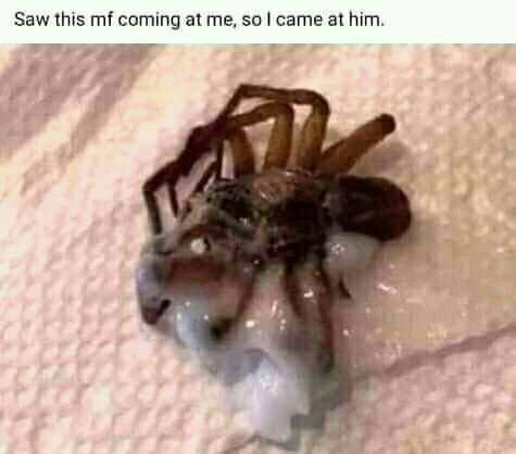 How You Make A Spiderman
