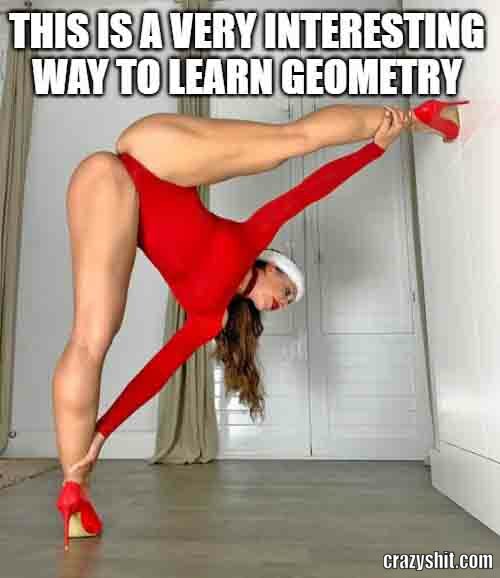 a way to learn geometry
