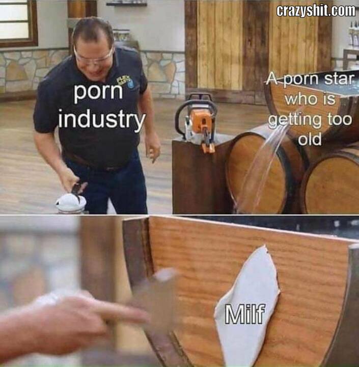porn industry