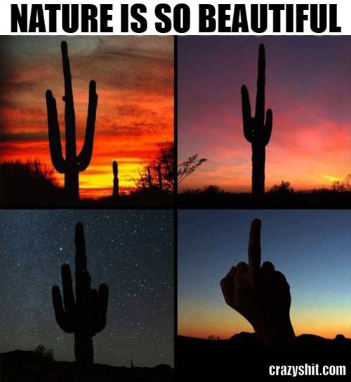 nature is beautiful