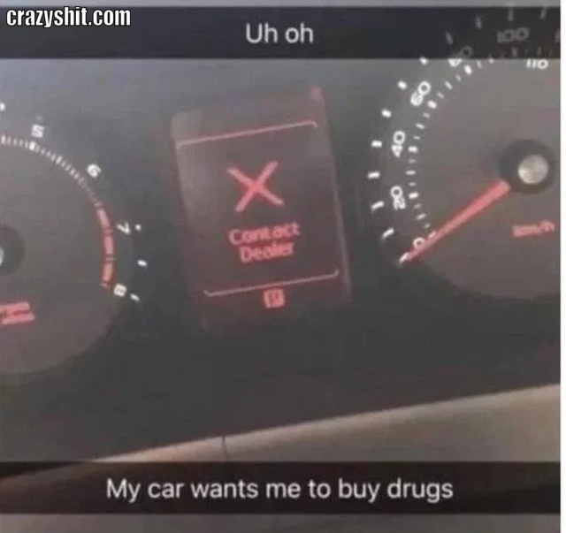 car and drugs