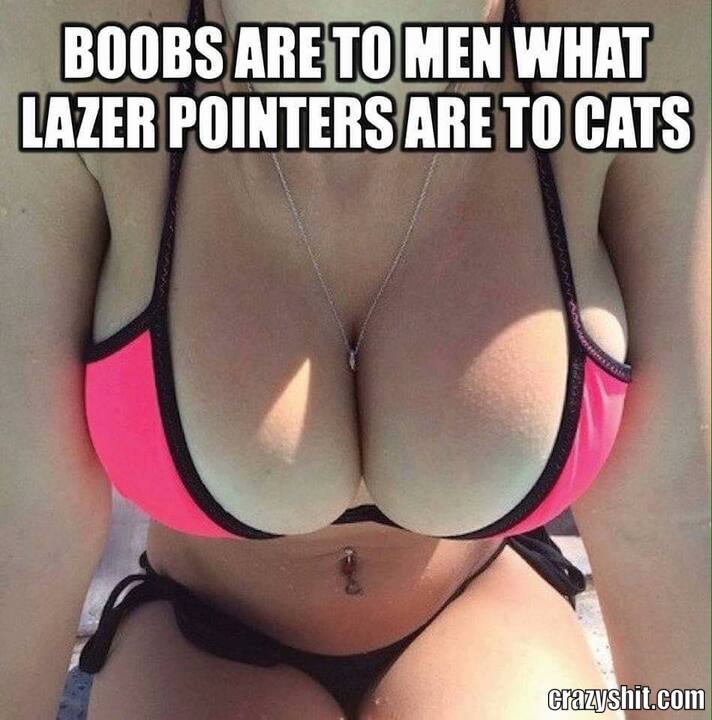 what boobs mean to men