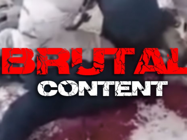 CrazyShit.com | THIS WEEK IN BRUTALITY - Crazy Shit