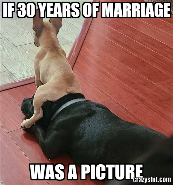 if 30 years of marriage