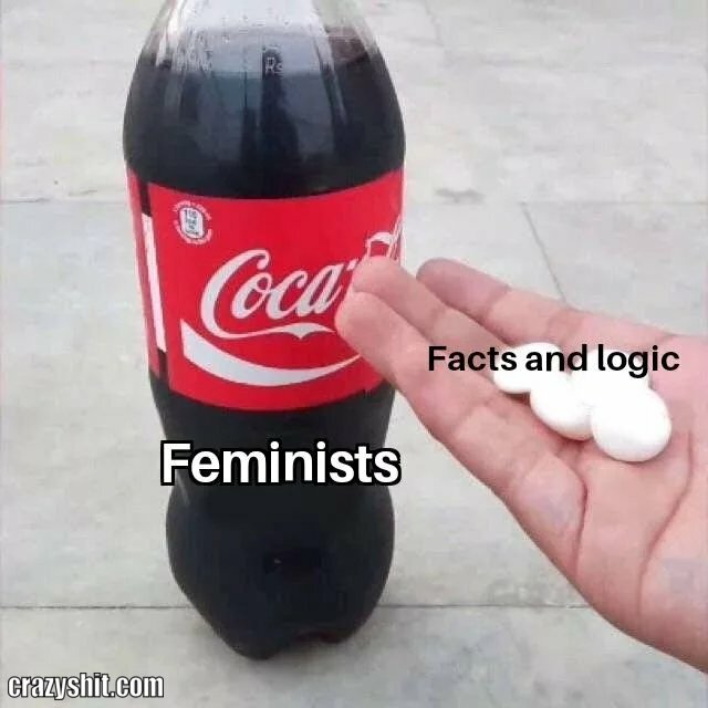 coca cola and feminists