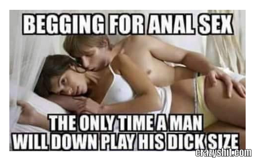 Anal Please