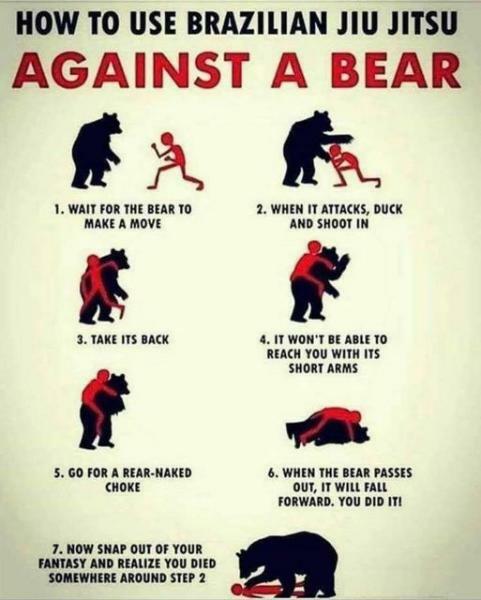 Bear Fight