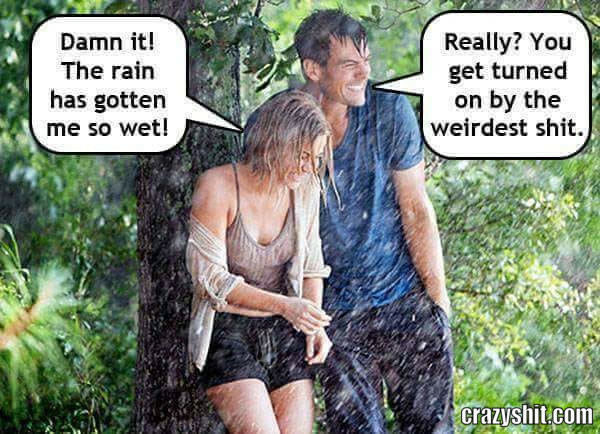 Forest Wetness