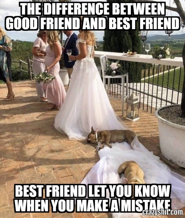 the difference between good friend and best friend