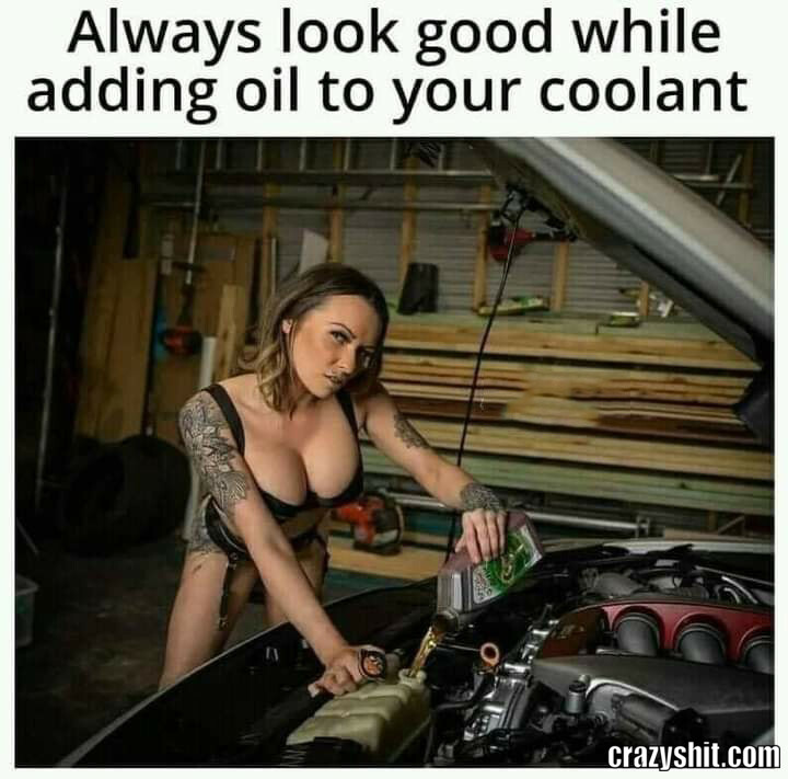 Skilled Mechanic