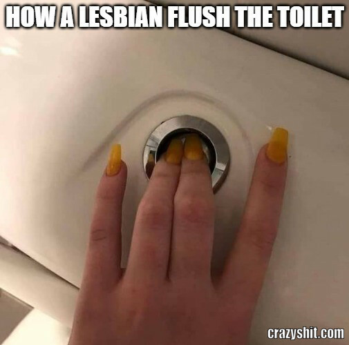 How Lesbians Flush the Toilet