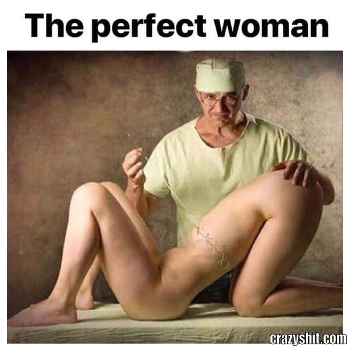 The Perfect Woman