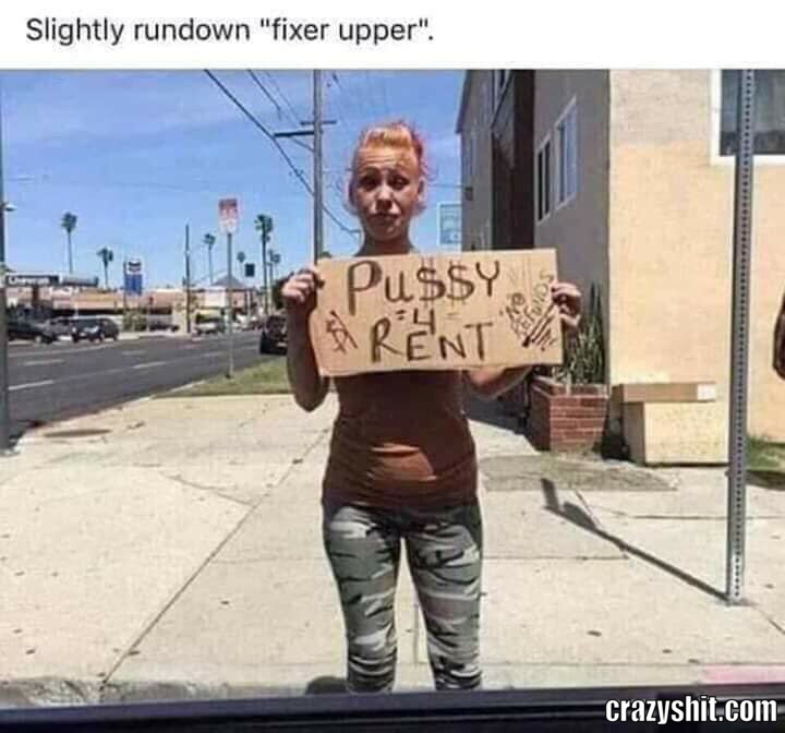 Pussy For Rent