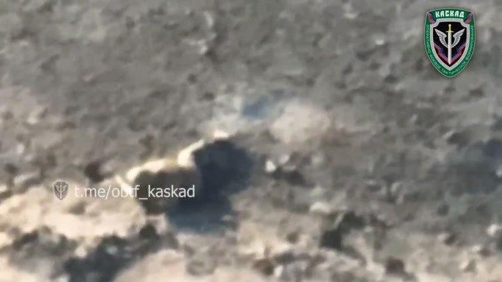CrazyShit.com | Fighters of the DPR OBTF Kaskad hit another neo-Nazi who got lost in the #Donbass. - Crazy Shit