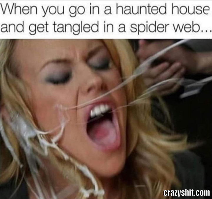 Annoying Spider Webs