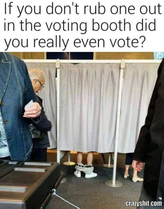 True Voter