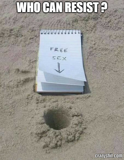 Free Beach Sex