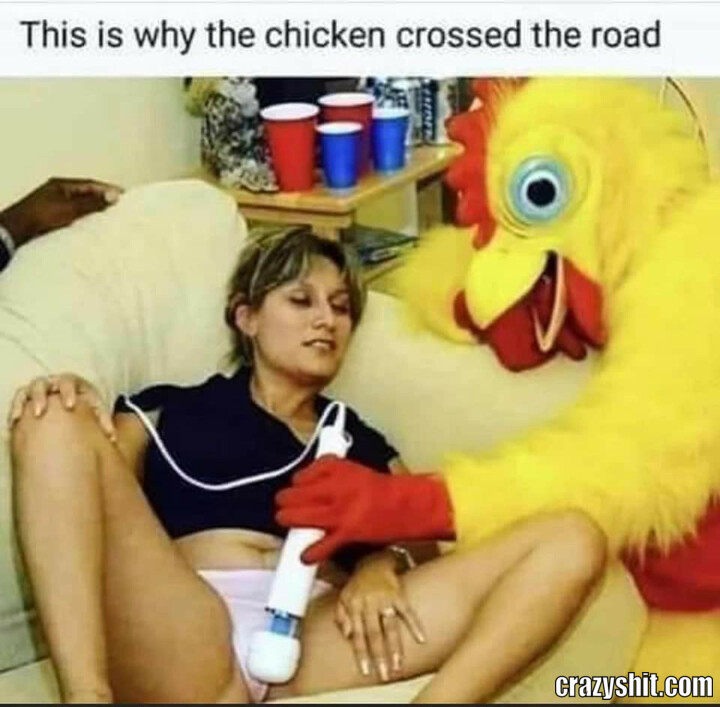 Chicken Crossed The Road