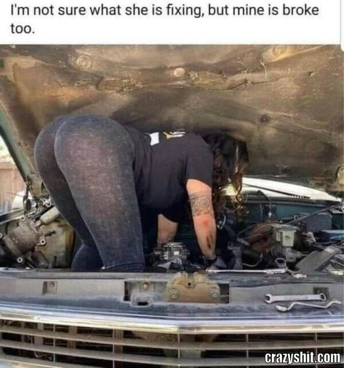 Car Fixing