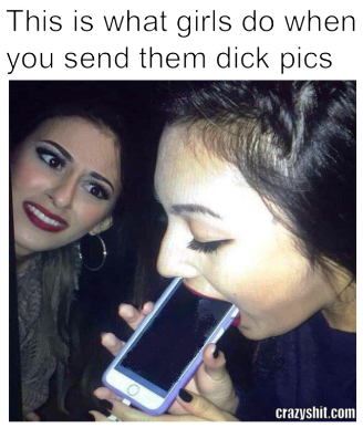 Bitches Love Dick