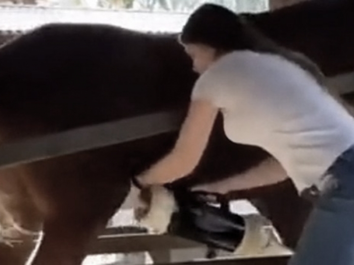 CrazyShit.com | MISFIT MEMES - Crazy Shit